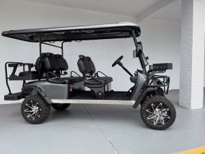 Renegade Elite Black Six Passenger Limo Golf Cart 02